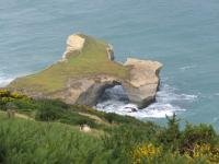 Albums/20060200-New Zealand 2006/20060314-Dunedin/74